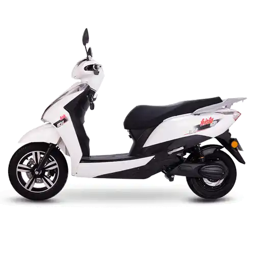 Jaunty Pro Jaunty Pro